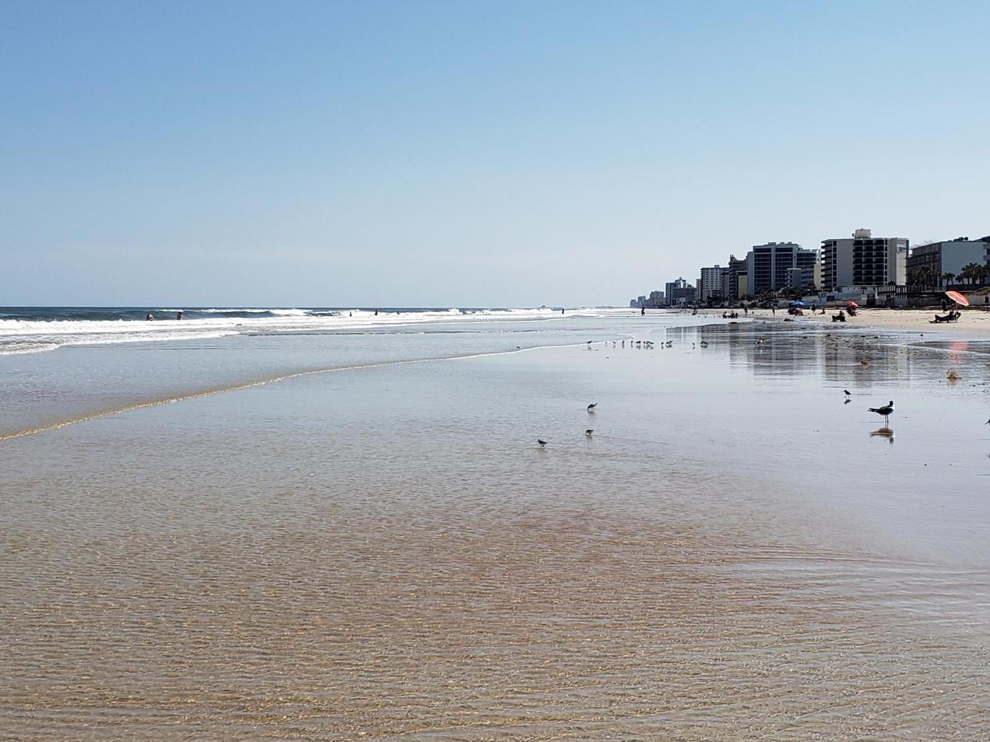 Beachside Bliss Ocean Views & Endless Fun Daytona Beach! Exterior foto